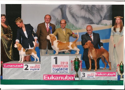 de Maxcecan - Daffodil-djin de Maxcecan championne d'Europe 2010